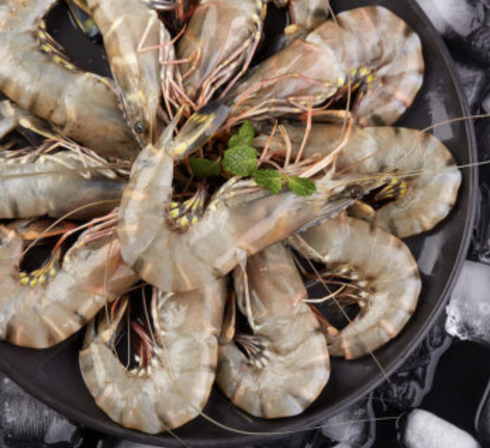 Bangladesh Takes First Steps to Cultivate Vannamei along with Black Tiger Shrimp